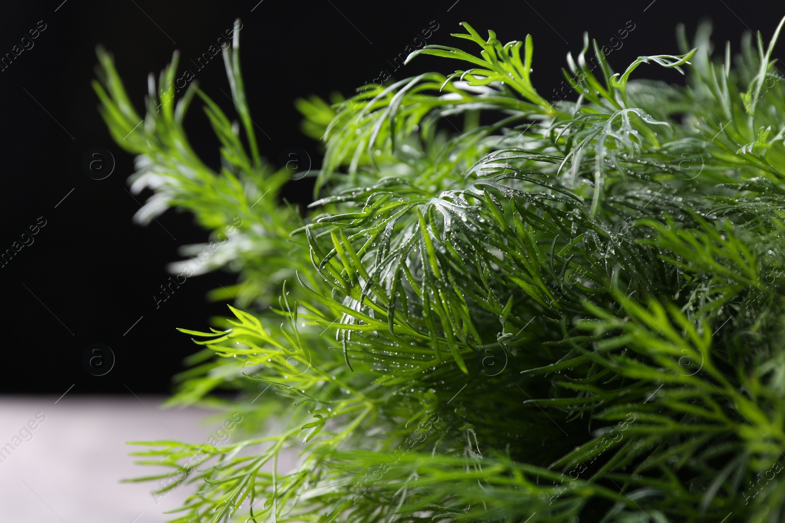 Photo of Fresh wet dill on black background, closeup