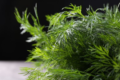 Fresh wet dill on black background, closeup