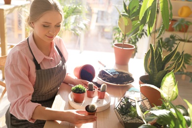 Young beautiful woman taking care of home plants at wooden table indoors