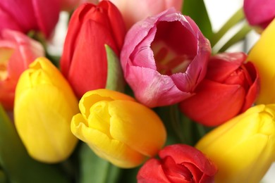 Photo of Beautiful colorful tulip flowers as background, closeup