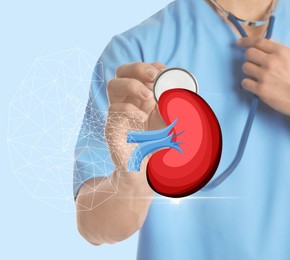 Closeup view of doctor with stethoscope and illustration of kidney on light background