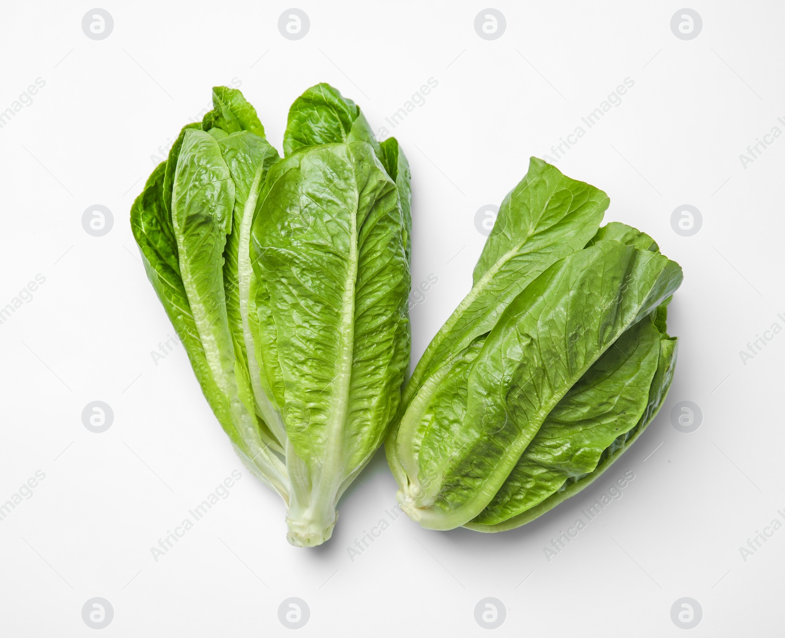 Photo of Fresh ripe cos lettuce on white background