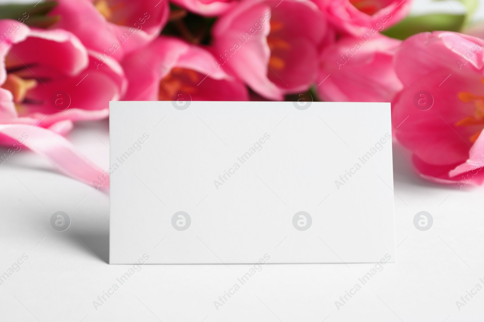 Photo of Beautiful spring tulips and blank card on white background, closeup with space for text. International Women's Day