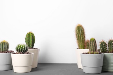 Photo of Different cacti in pots on gray wooden table