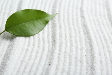Photo of Zen rock garden. Wave pattern on white sand and green leaf, closeup