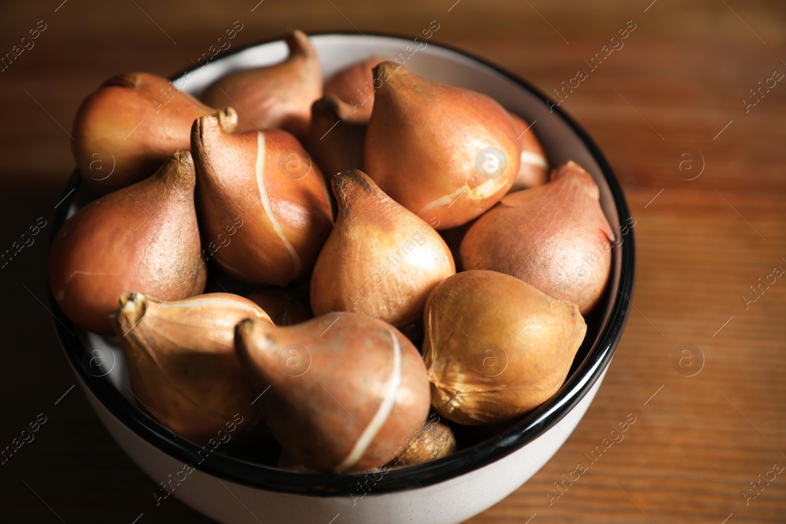 Photo of Tulip bulbs in bowl on wooden table, closeup