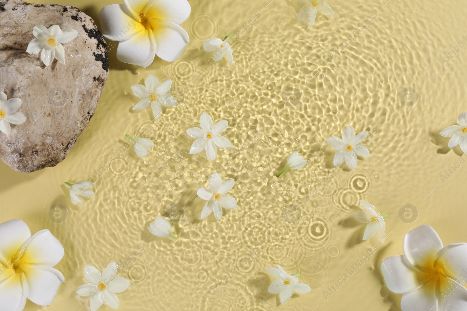 Photo of Beautiful flowers and stone in water on pale yellow background, top view