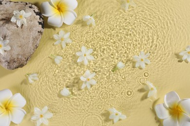 Beautiful flowers and stone in water on pale yellow background, top view