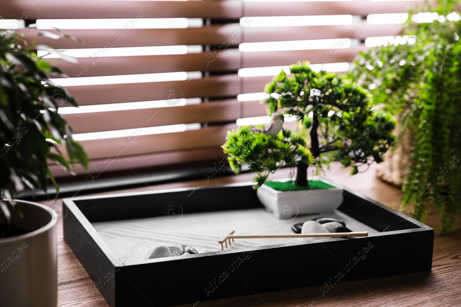 Photo of Beautiful miniature zen garden on wooden table