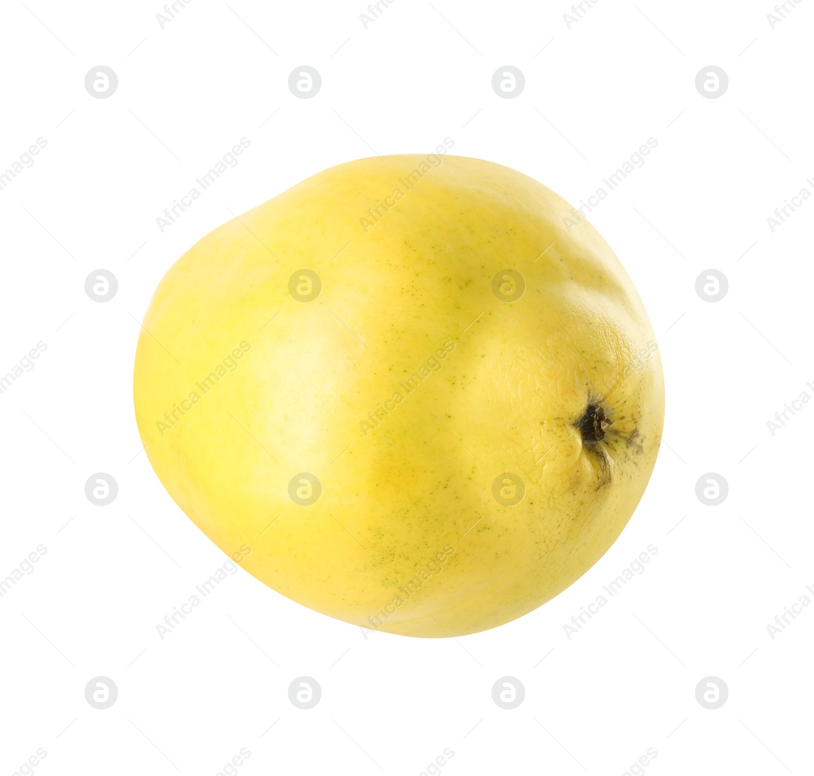 Photo of Delicious fresh ripe quince isolated on white