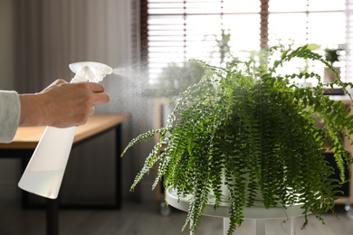 Photo of Woman spraying fern indoors, closeup. Home plant