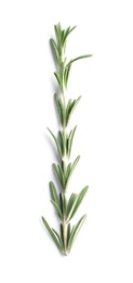 Photo of Fresh rosemary on white background