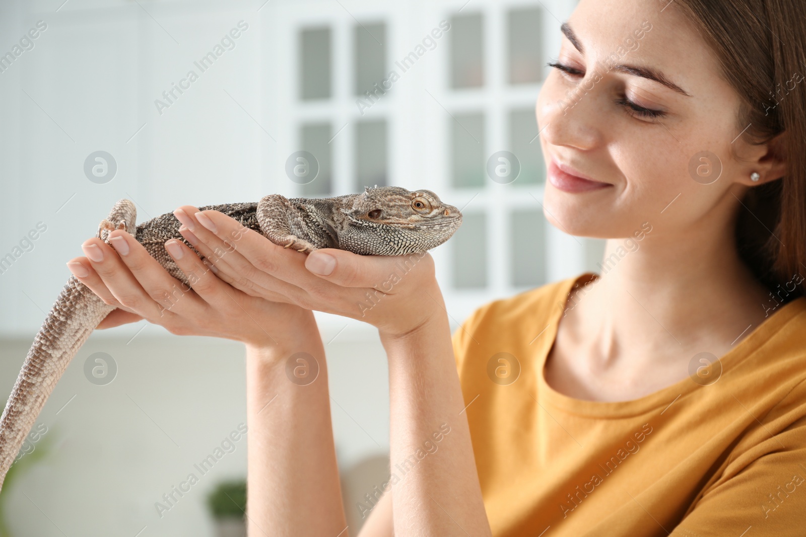 Photo of Woman holding bearded lizard indoors, closeup. Exotic pet