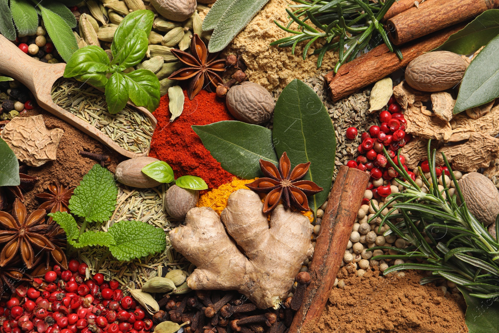 Photo of Different fresh herbs with aromatic spices as background, top view