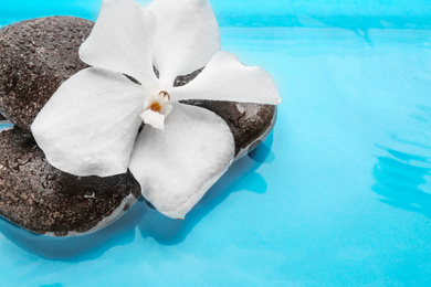 Stones and orchid flower in water. Zen lifestyle