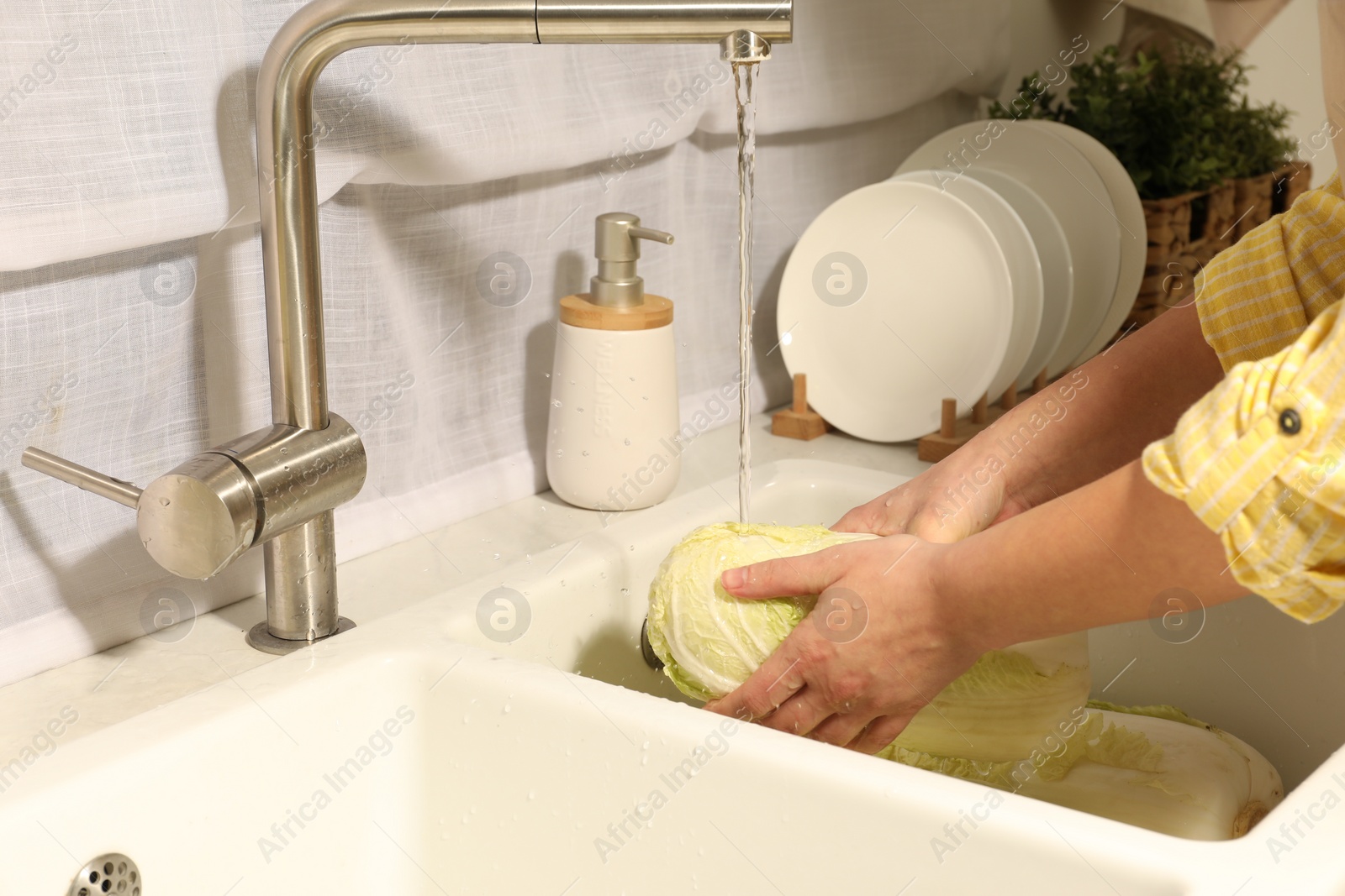 Photo of Woman washing fresh chinese cabbage under tap water in kitchen sink, closeup