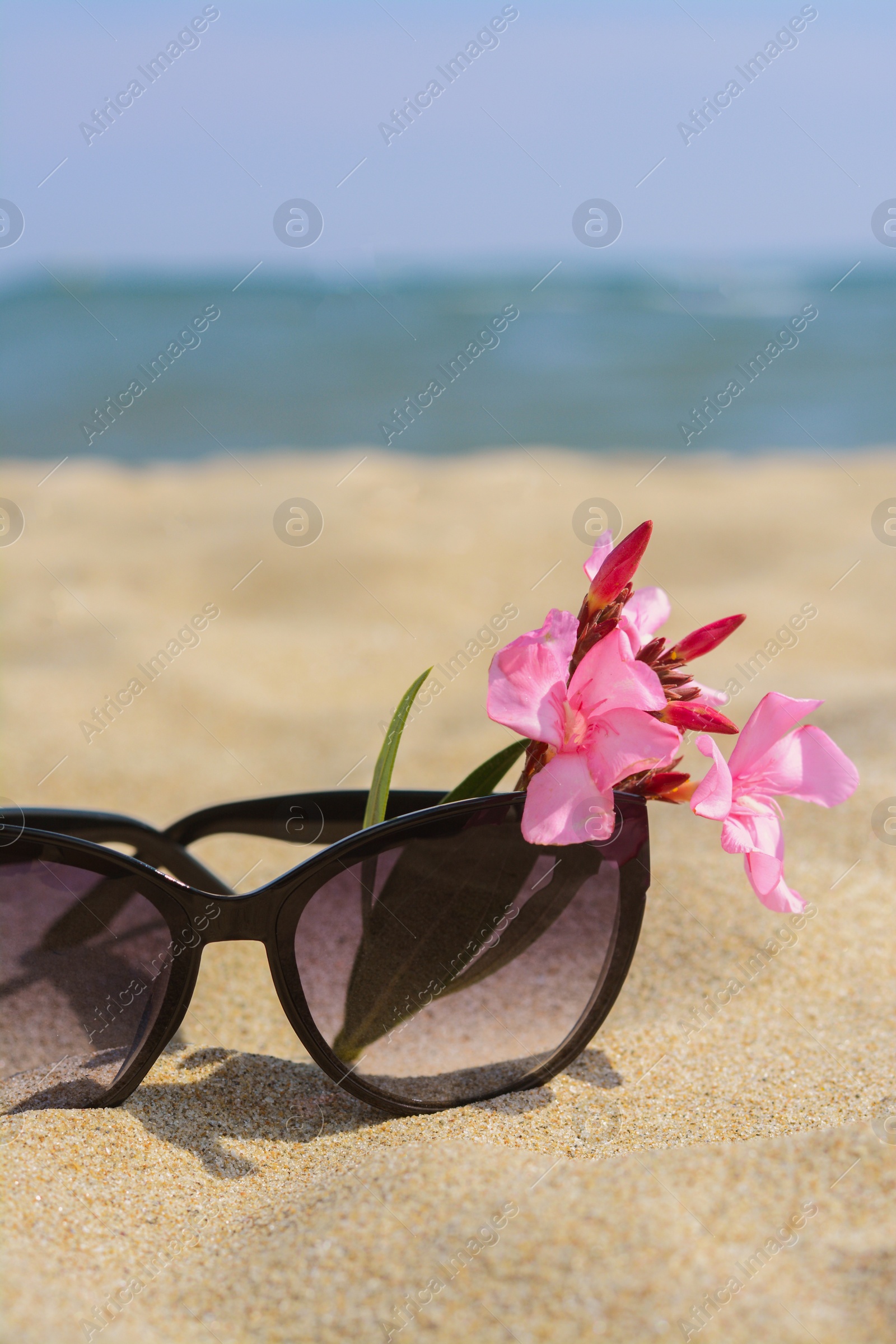 Photo of Beautiful sunglasses with flower on sand near sea, closeup