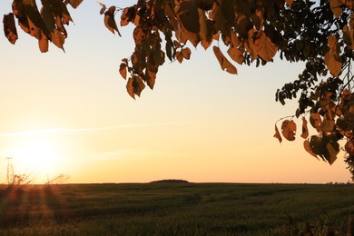 Photo of Picturesque view of beautiful countryside field at sunset