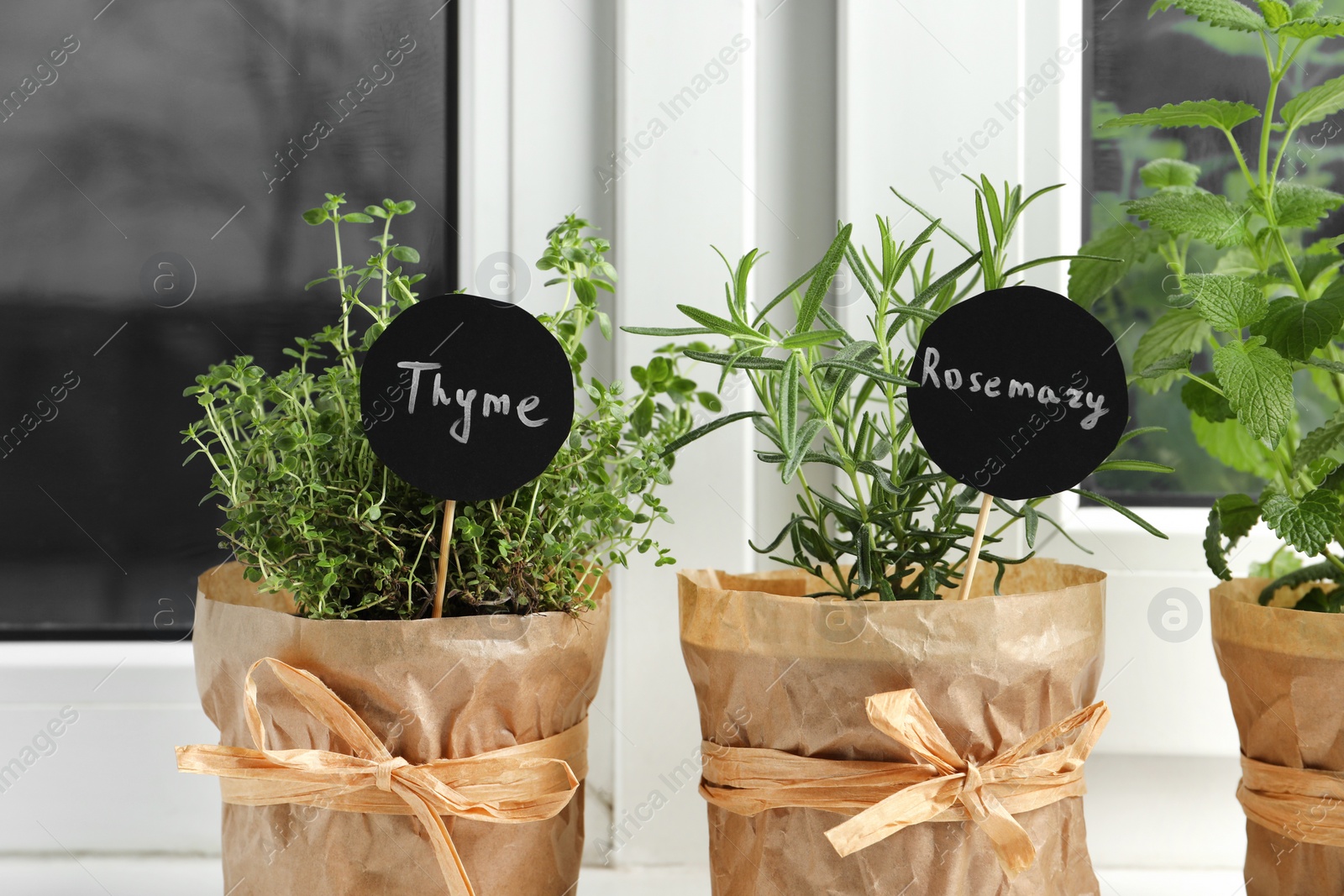 Photo of Different aromatic potted herbs on windowsill indoors, closeup