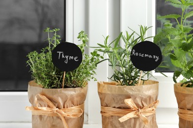 Different aromatic potted herbs on windowsill indoors, closeup