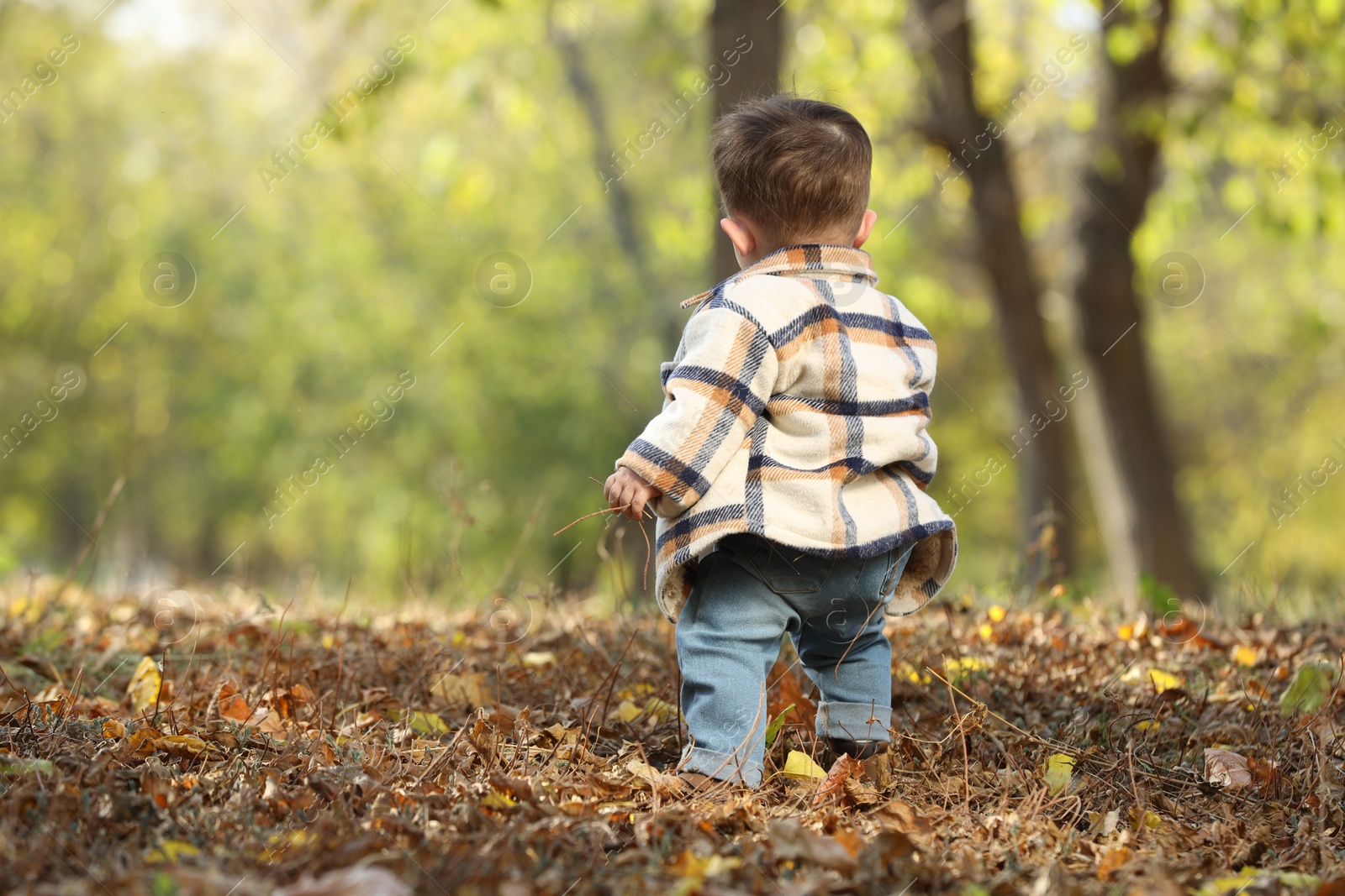 Photo of Cute little child walking in autumn park, back view. Space for text