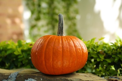 Photo of Whole ripe pumpkin on stone curb outdoors