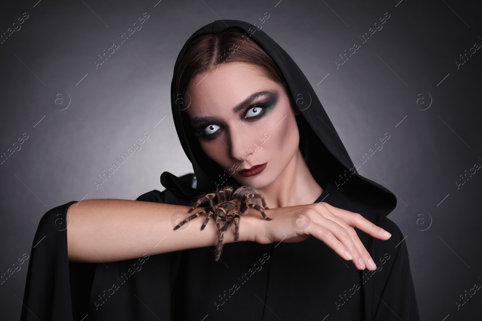 Photo of Mysterious witch with spooky spider on dark background