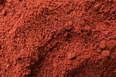 Photo of Bright cranberry powder as background, top view