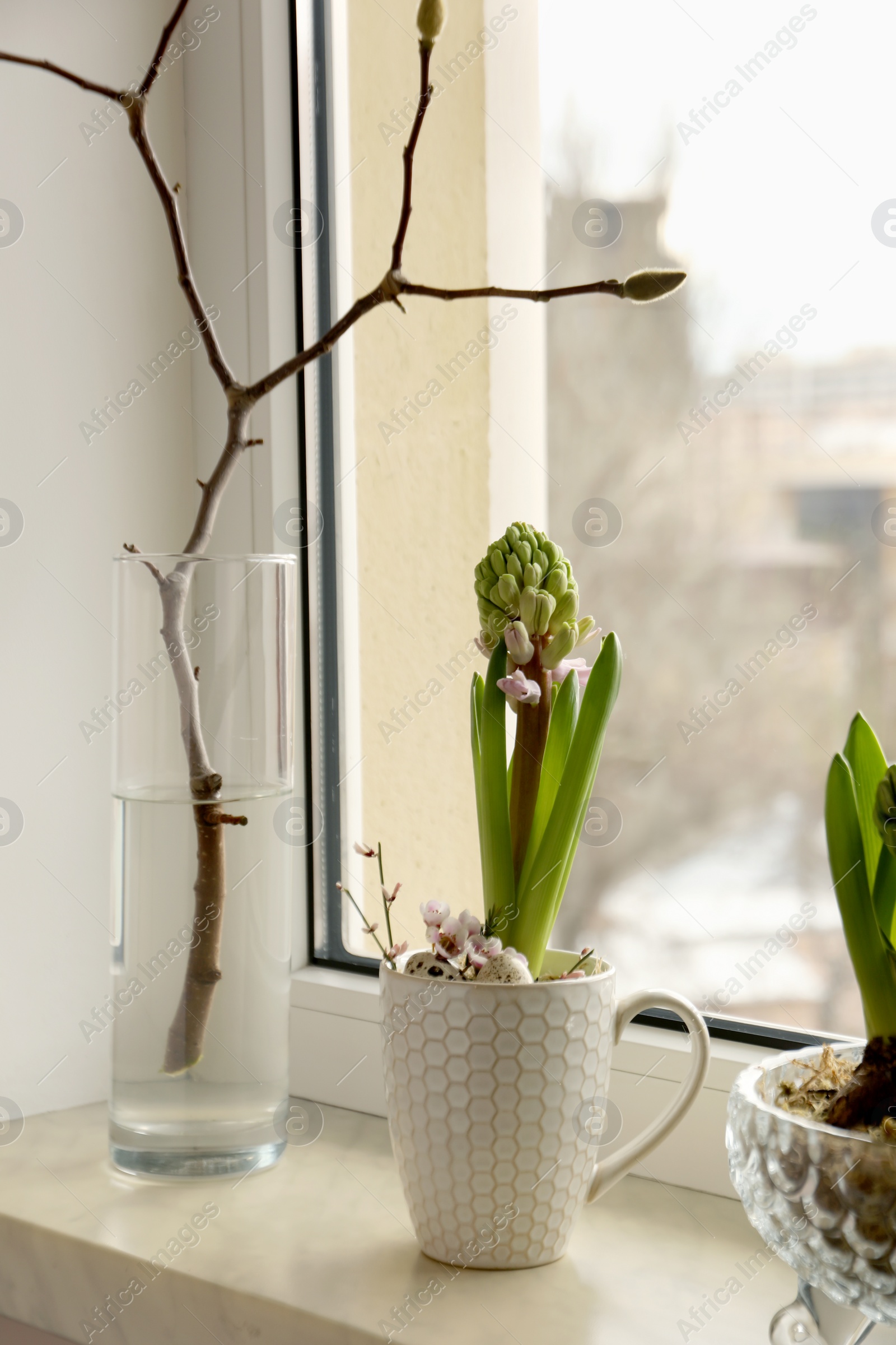 Photo of Beautiful hyacinth on windowsill indoors. Spring time