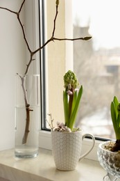 Beautiful hyacinth on windowsill indoors. Spring time