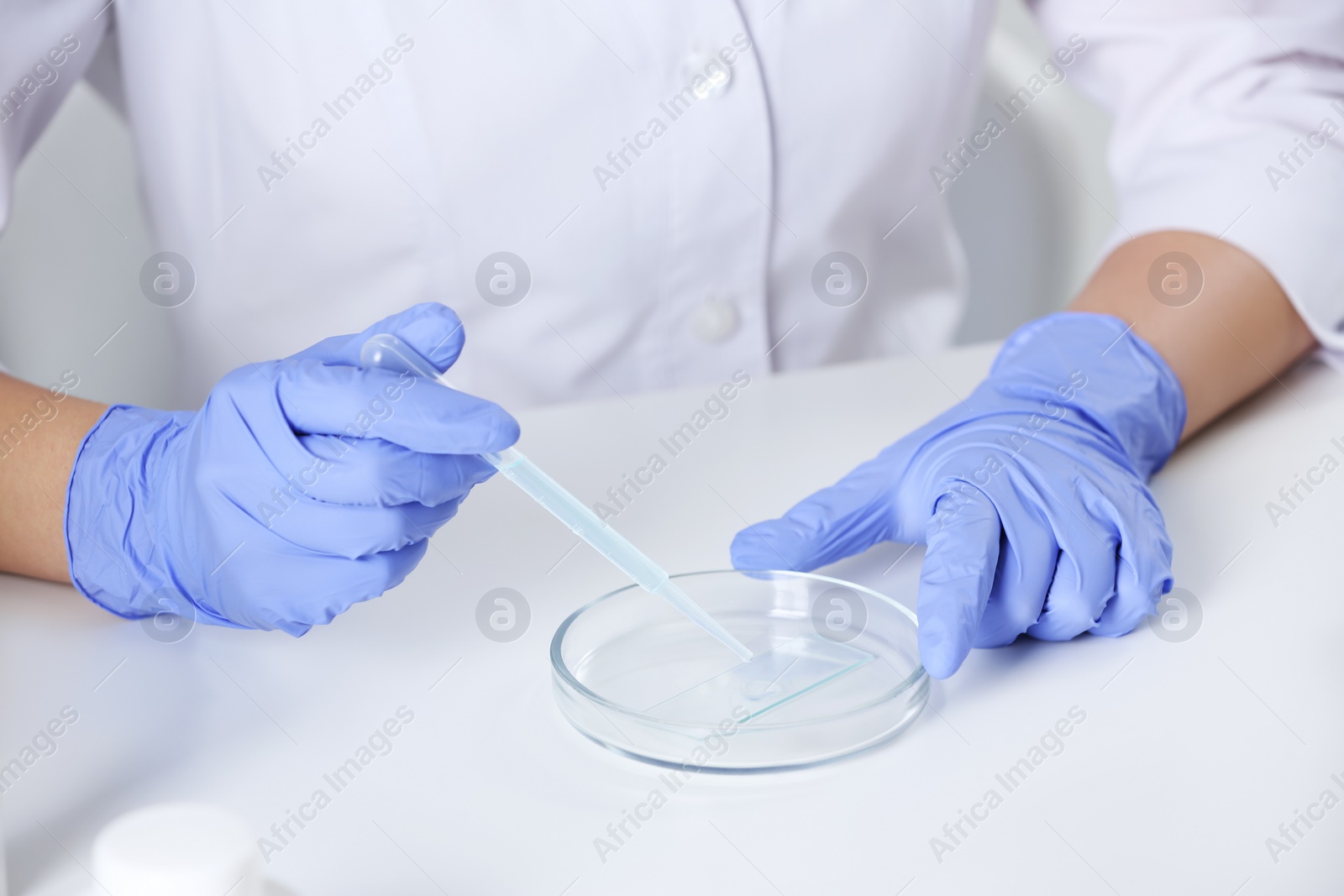 Photo of Scientist working with sample at white table, closeup
