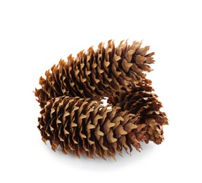 Photo of Beautiful dry pine cones on white background