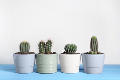 Photo of Many beautiful cacti on light blue wooden table