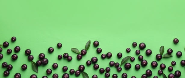 Fresh acai berries and leaves on green background, flat lay. Space for text