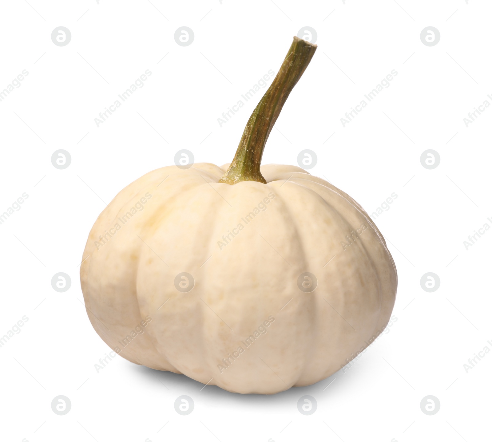 Photo of One whole ripe pumpkin isolated on white