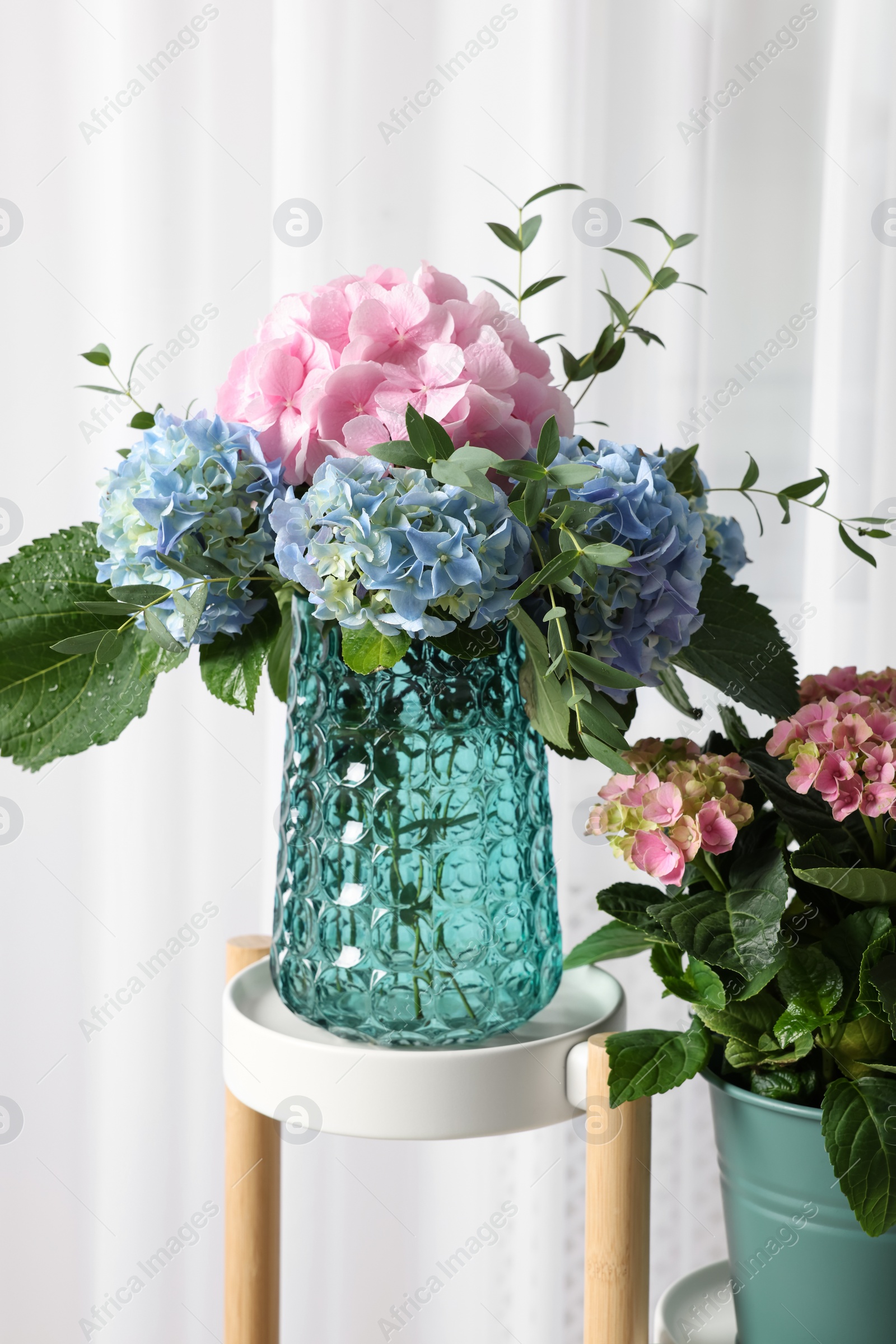 Photo of Beautiful hortensia flowers in vase on stand indoors