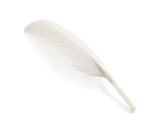 Photo of One fluffy beautiful feather isolated on white