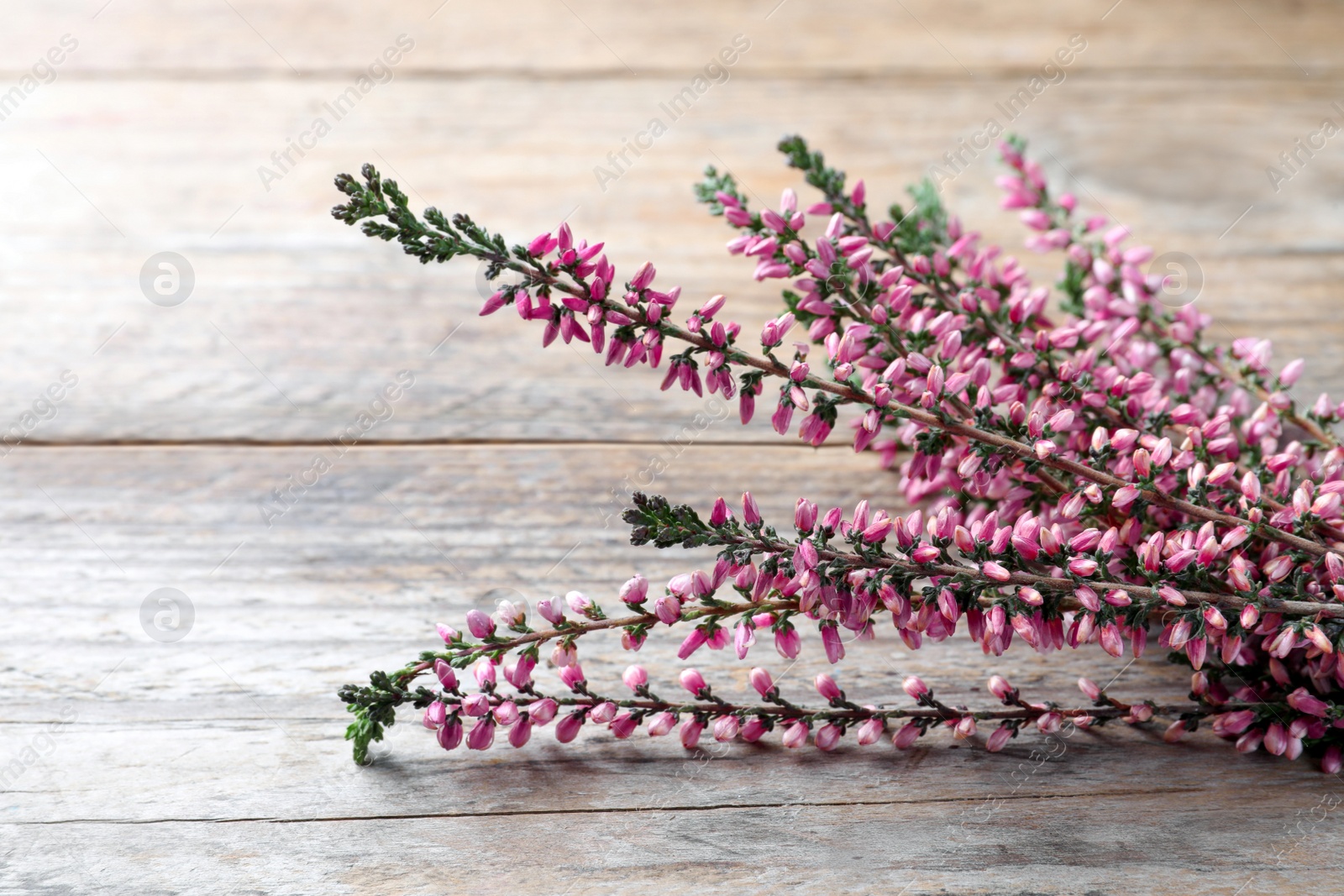 Photo of Heather branches with beautiful flowers on wooden table, closeup