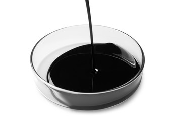 Photo of Pouring black crude oil into Petri dish on white background