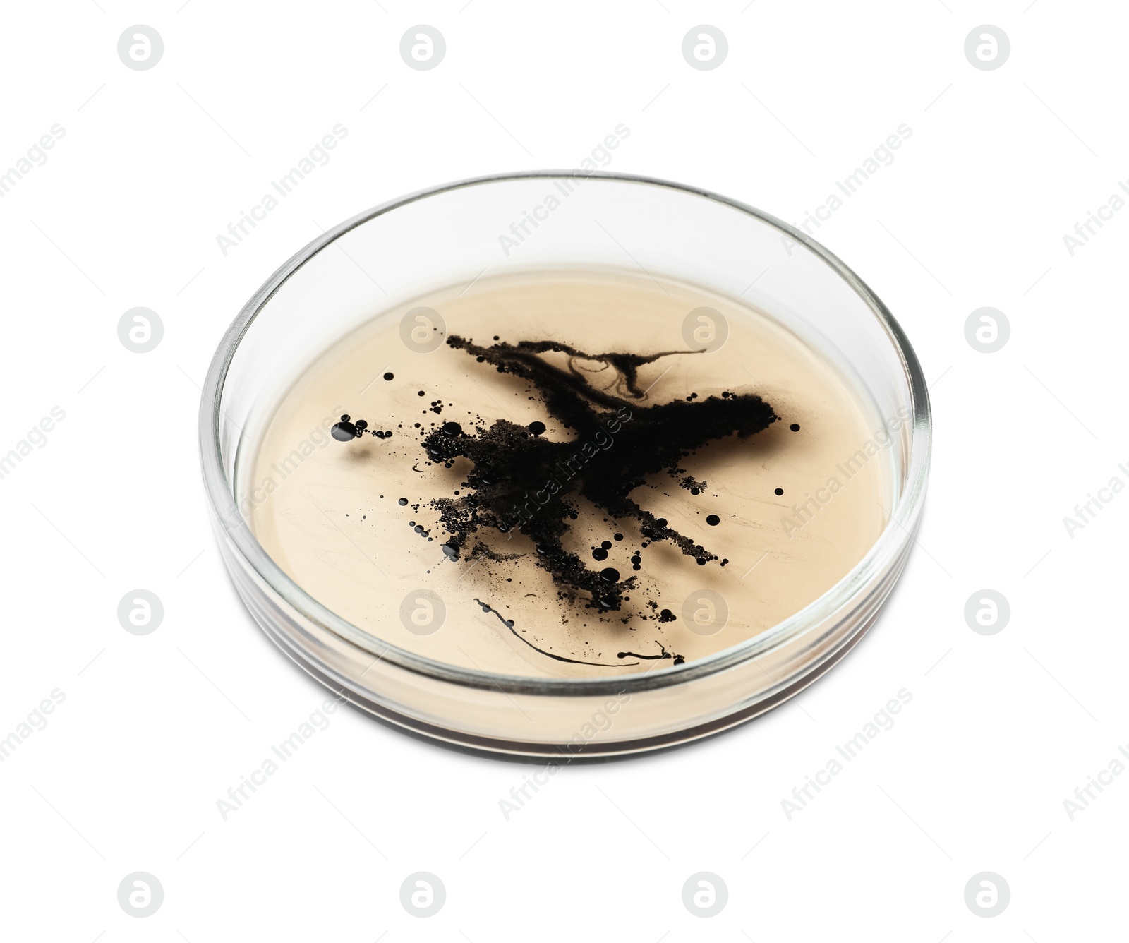 Photo of Petri dish with bacteria on white background