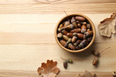 Acorns and oak leaves on wooden table, flat lay. Space for text