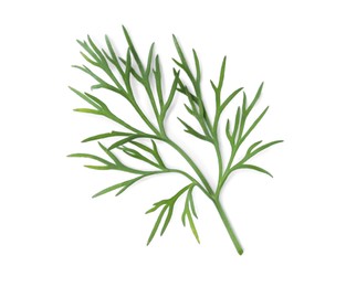 Photo of Sprig of fresh dill isolated on white, top view