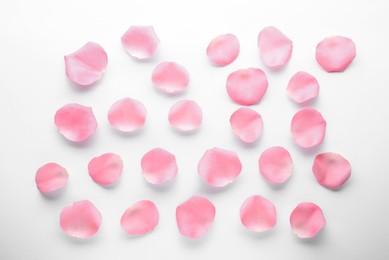 Photo of Beautiful pink rose flower petals on white background, top view