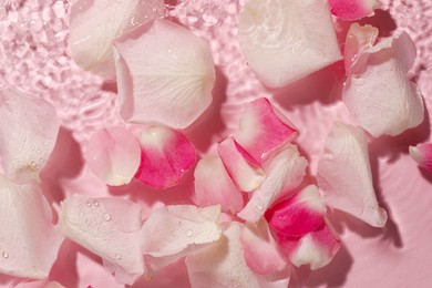 Beautiful rose petals in water on pink background, top view