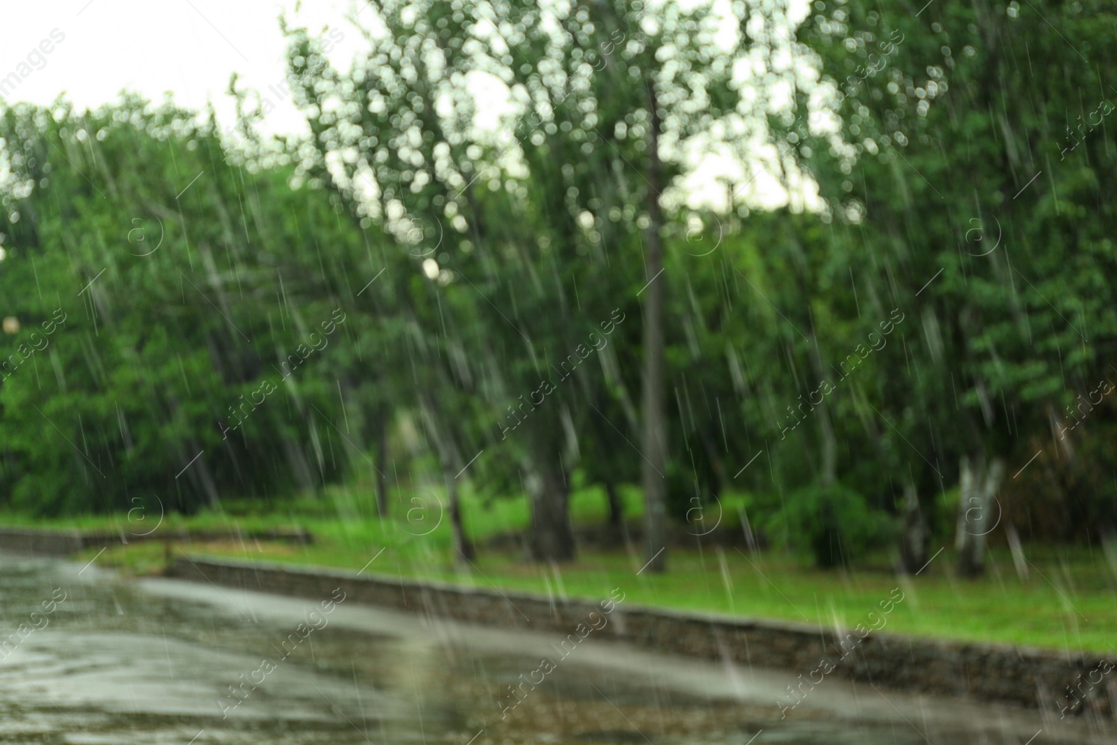 Photo of View of heavy pouring rain in green park