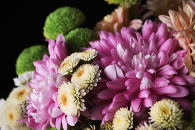 Photo of Beautiful chrysanthemum flowers on black background, closeup