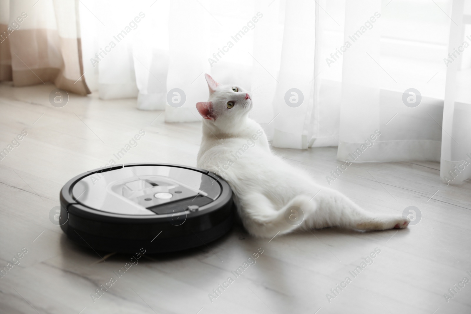 Photo of Modern robotic vacuum cleaner and cute cat on floor indoors