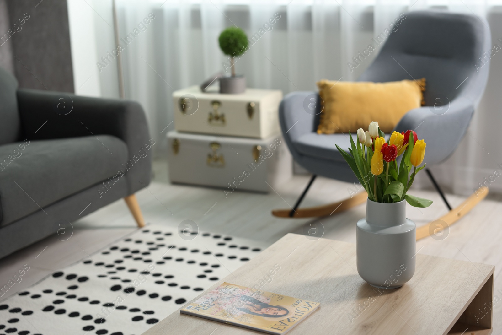 Photo of Beautiful tulips in vase on coffee table indoors, space for text