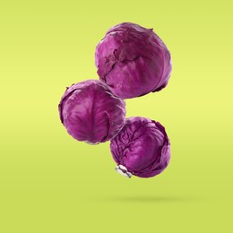 Image of Whole fresh red cabbages falling on yellowish green background
