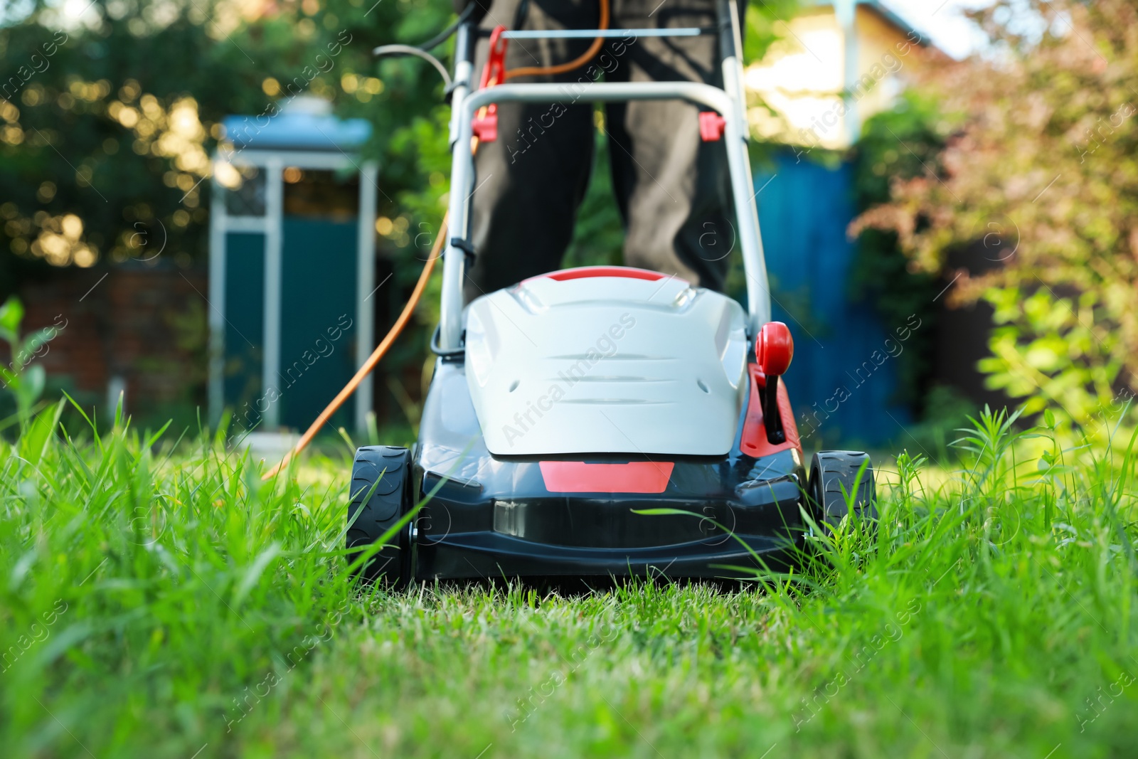 Photo of Man cutting grass with lawn mower in garden, closeup